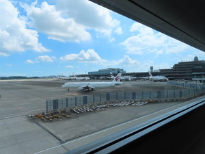 IMG_9539.jpg