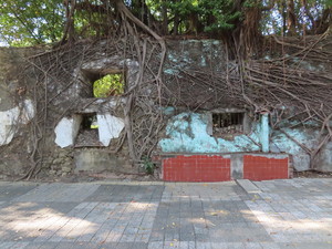 IMG_9924.jpg