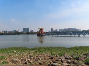 IMG_9932.jpg