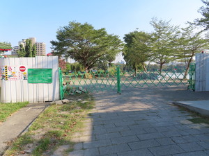 IMG_9941.jpg