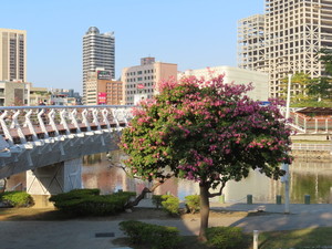 IMG_9984.jpg