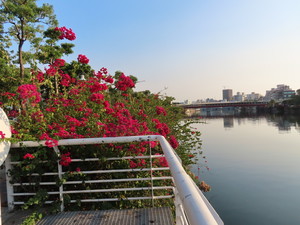 IMG_9987.jpg