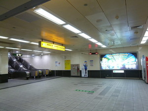P1050181.jpg