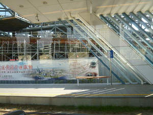 P1050214.jpg