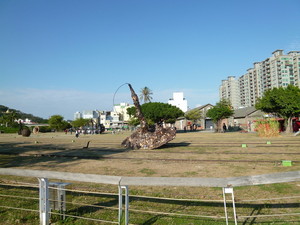 P1050251.jpg