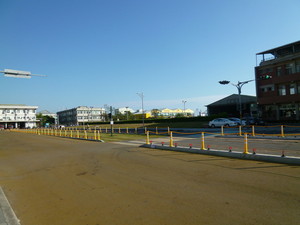 P1050253.jpg