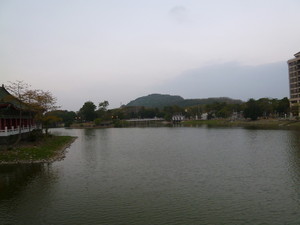 P1050461.jpg