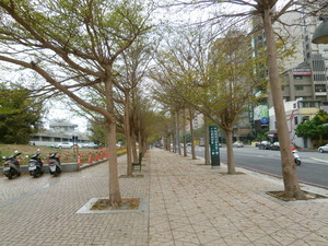 P1050488.jpg
