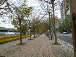 P1050489.jpg