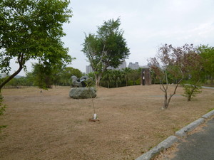 P1050490.jpg