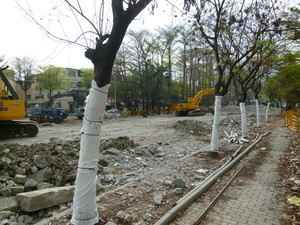 P1050494.jpg