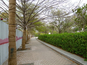 P1050497.jpg