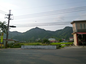 P1070197.jpg