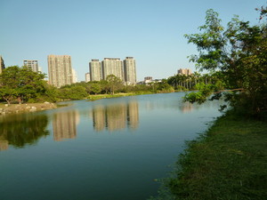 P1070219.jpg