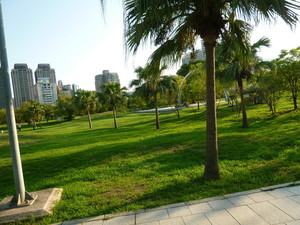 P1070225.jpg