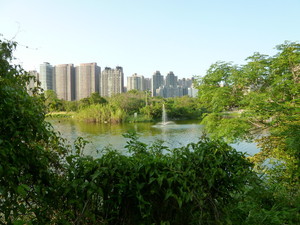 P1070228.jpg