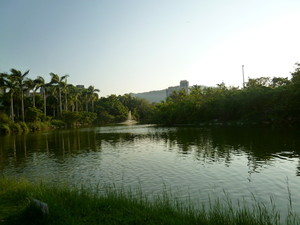 P1070233.jpg