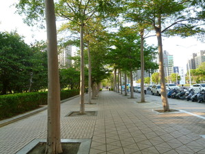 P1070236.jpg