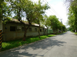 P1070638.jpg
