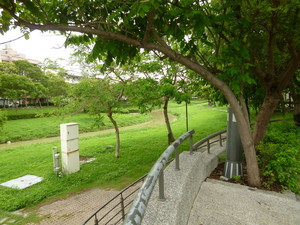 P1070899.jpg