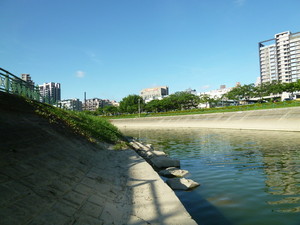 P1070947.jpg