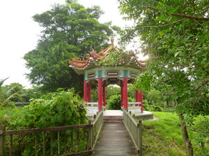 P1080141.jpg