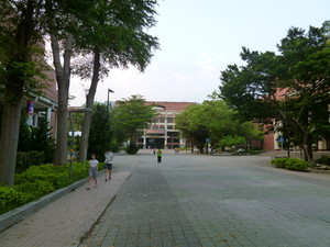 P1090558.jpg