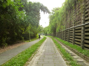P1090704.jpg