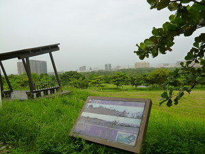 P1090718.jpg