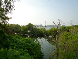 P1090896.jpg
