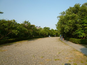 P1100093.jpg