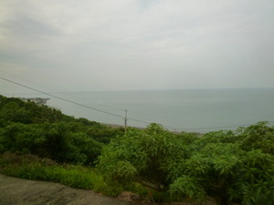 P1100166.jpg
