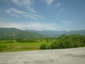 P1100195.jpg