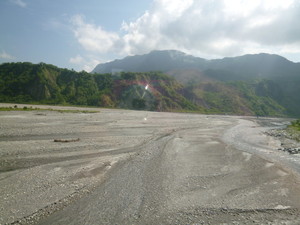 P1100205.jpg