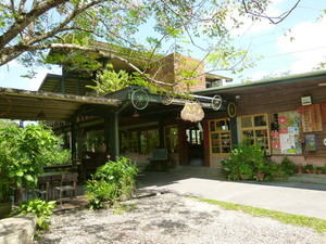 P1100266.jpg