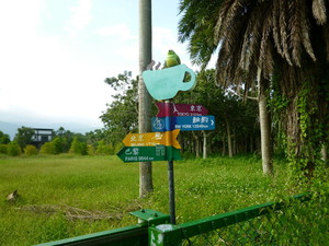 P1100355.jpg