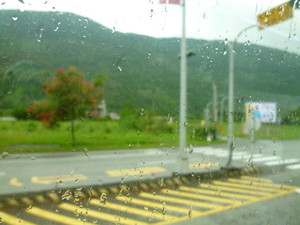P1100450.jpg