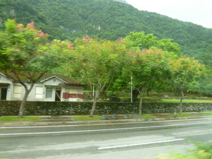 P1100452.jpg