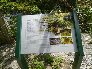 P1100515.jpg