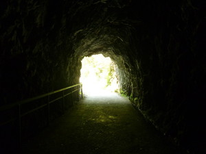P1100525.jpg