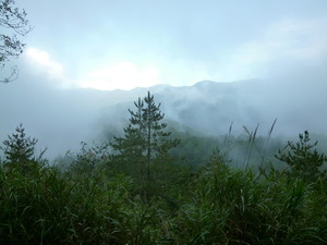 P1100634.jpg