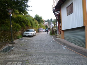 P1100713.jpg