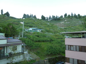 P1100764.jpg