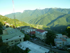 P1100769.jpg