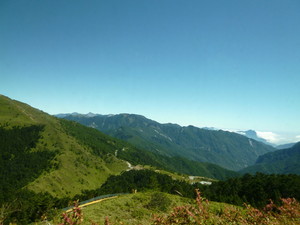 P1100870.jpg