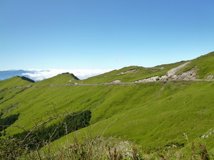 P1100943.jpg