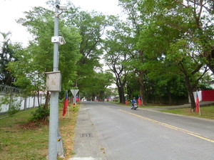 P1110298.jpg