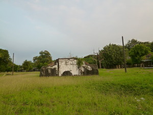 P1110663.jpg