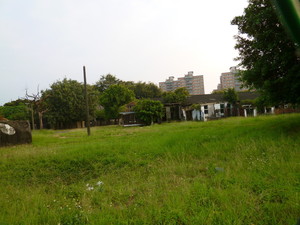 P1110665.jpg
