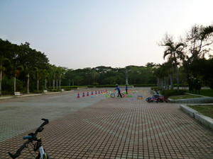 P1110720.jpg